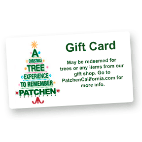 Photo Client "Thank-You"