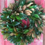 IMAG0533_BURST002_COVER