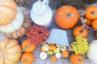 PumpkinsTable