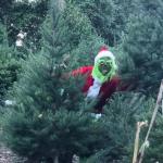 Grinch-3 (1)