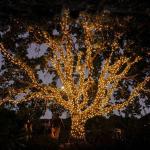 b6629060-1f25-4b54-8ab1-72c0e45d8824