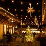 baeee3a3-d136-40fb-8065-e064de3a4e53