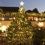 cc48d146-c0da-4105-98f8-bf0bc2893f5b